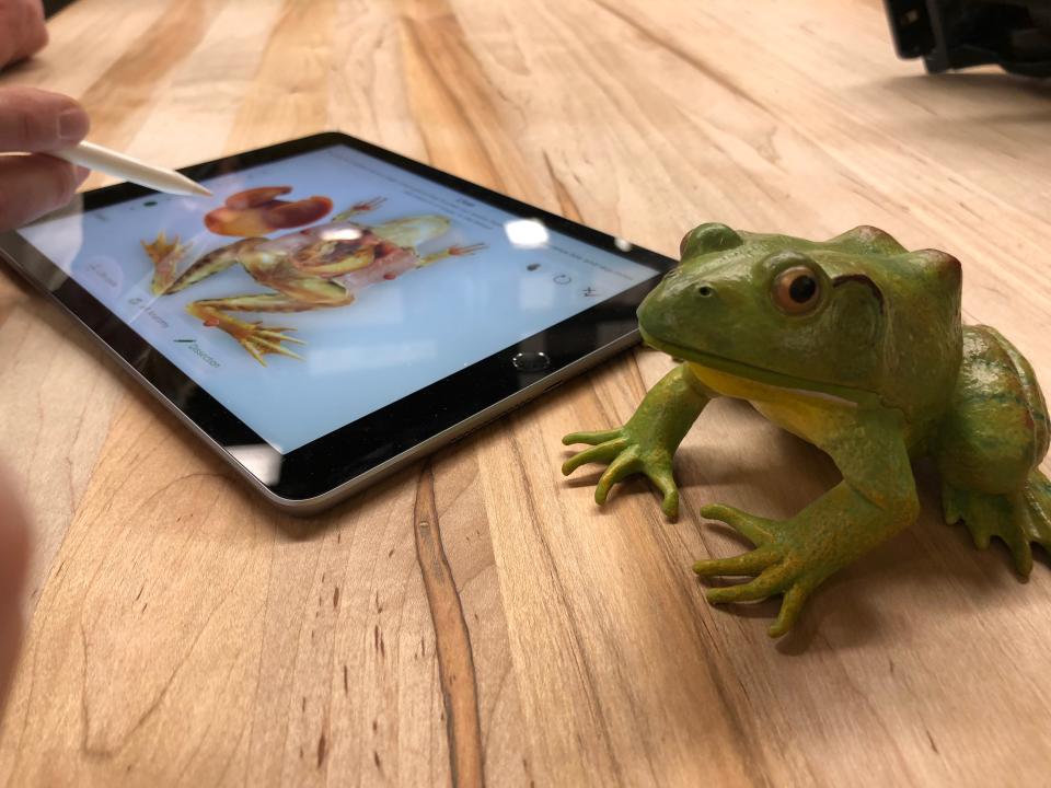 No frogs were harmed in during Apple’s event.