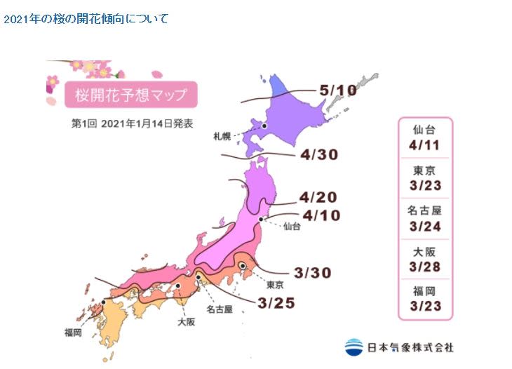 日本氣象株式會社預估2021年東京櫻花祭將於3月23日開花（圖／截自日本氣象株式會社）