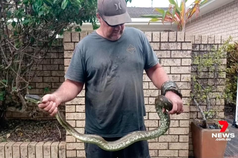 u3IESjcfMN0 5-year-old boy survives terrifying encounter with snake near Byron Bay | 7NEWS