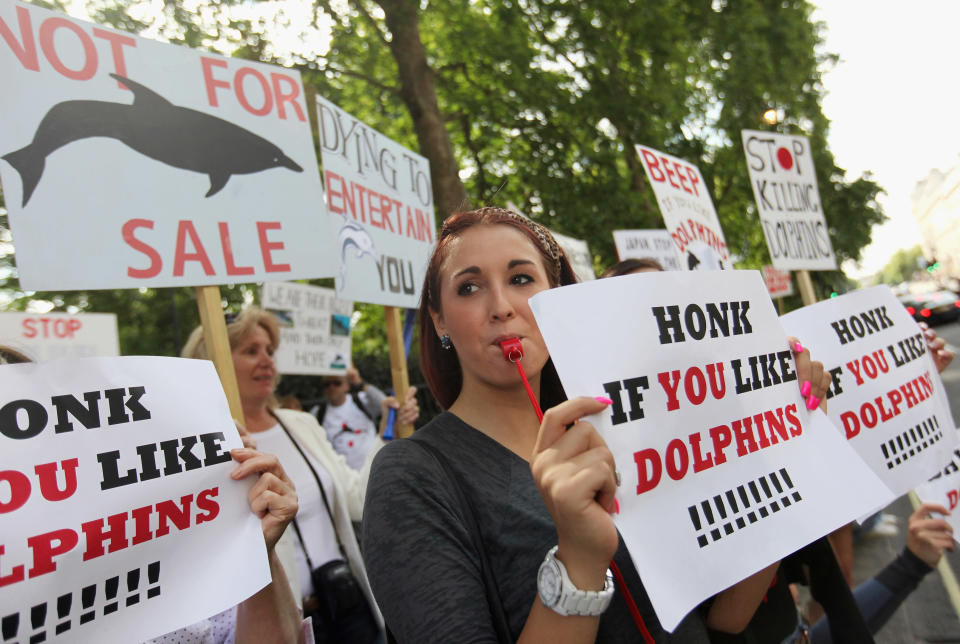 Protestors Demonstrate Outside The Japanese Embassy As Dolphin Hunting Begins