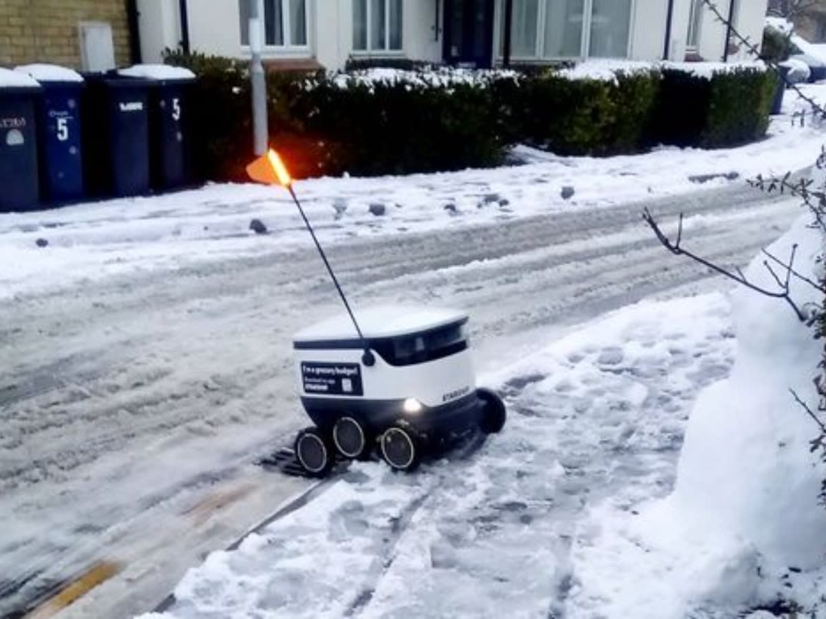 The delivery robot showed its manners in Cambridge. (SWNS)