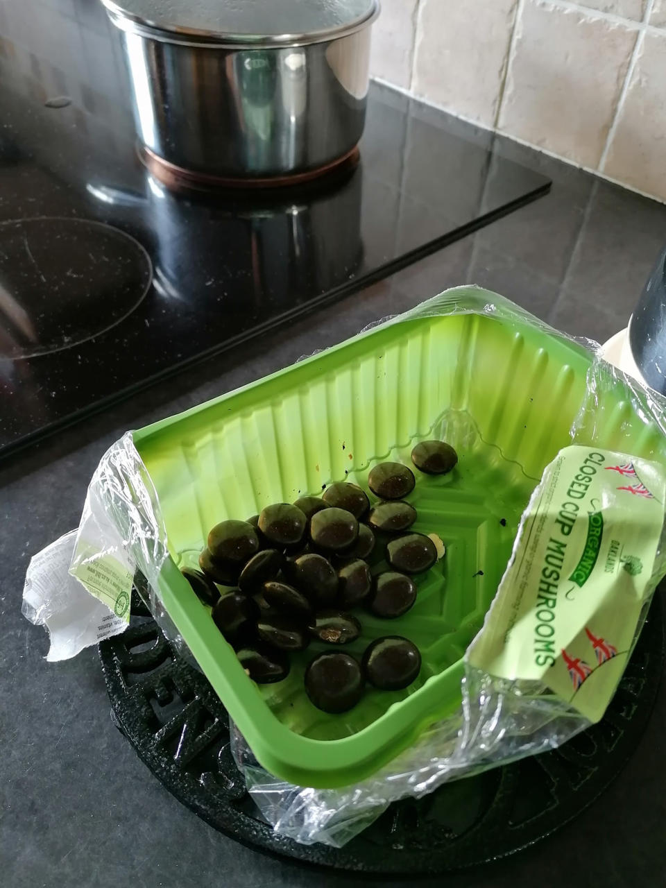 Katie chocolate hidden from kids plastic container of mushrooms