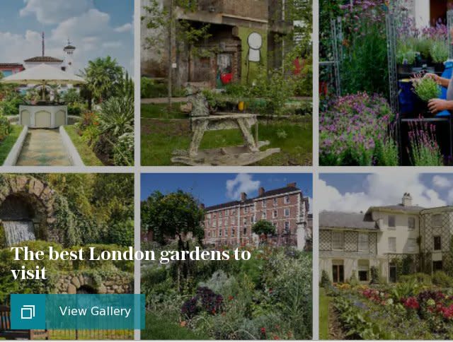 The best London gardens to visit