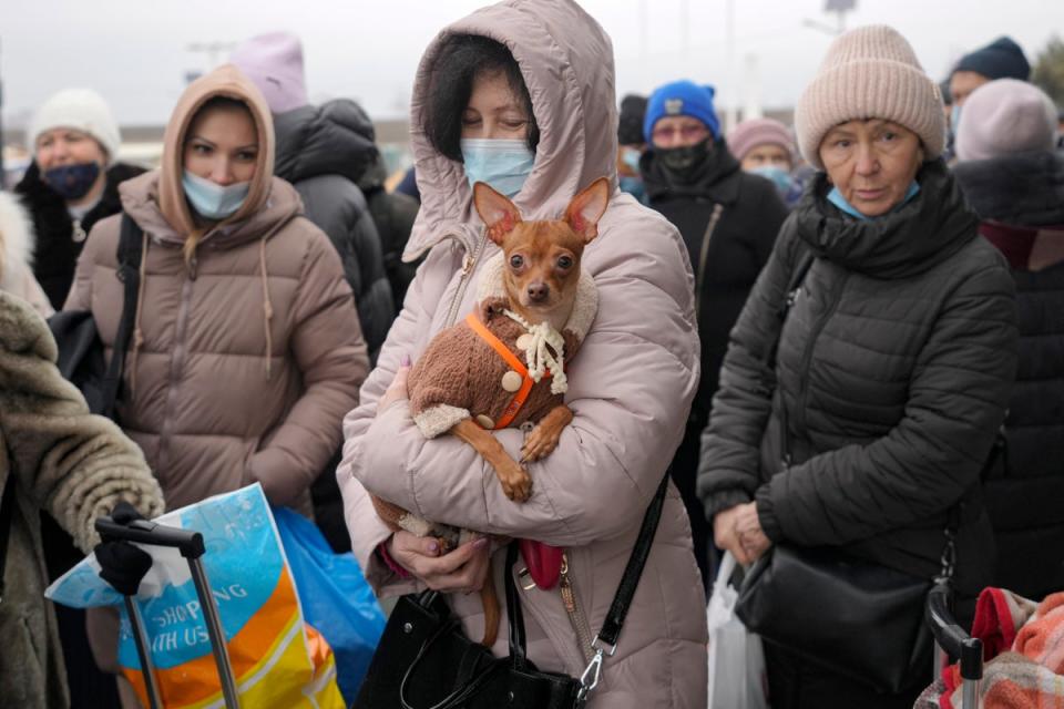 A woman holds her dog as she waits with others to cross from Ukrainian government controlled areas to pro-Russian separatists’ controlled territory in Stanytsia Luhanska, the only crossing point open daily, in the Luhansk region, eastern Ukraine (AP)