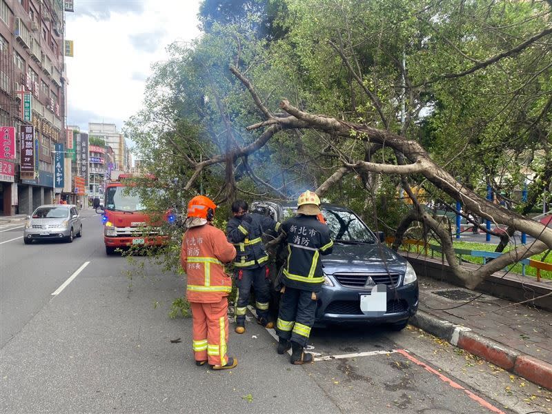 ▲新北市板橋區路樹遭強風吹倒，砸傷停在路邊的車輛。（圖／翻攝畫面）