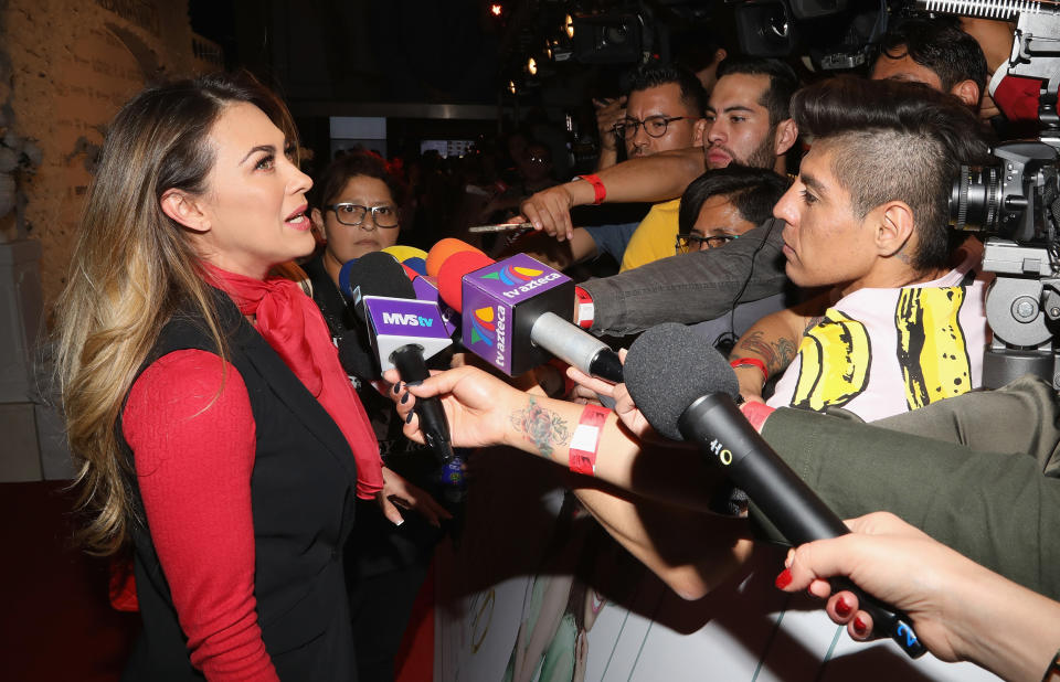 MEXICO CITY, MEXICO - FEBRUARY 07:  Aracely Arambula speaks with the media during 