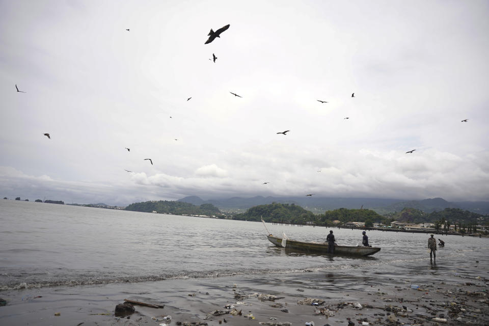 Birds fly above a boat with freshly caught fish on the beach at Limbe, Cameroon, on April 12, 2022. In recent years, Cameroon has emerged as one of several go-to countries for the widely criticized “flags of convenience” system, under which foreign companies can register their ships even though there is no link between the vessel and the nation whose flag it flies. But experts say weak oversight and enforcement of fishing fleets undermines global attempts to sustainably manage fisheries and threatens the livelihoods of millions of people in regions like West Africa. (AP Photo/Grace Ekpu)