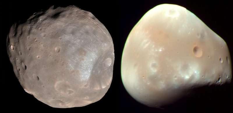 火星的兩顆衛星「火衛一」（Phobos，左）與「火衛二」（Deimos）（Wikipedia / Public Domain）