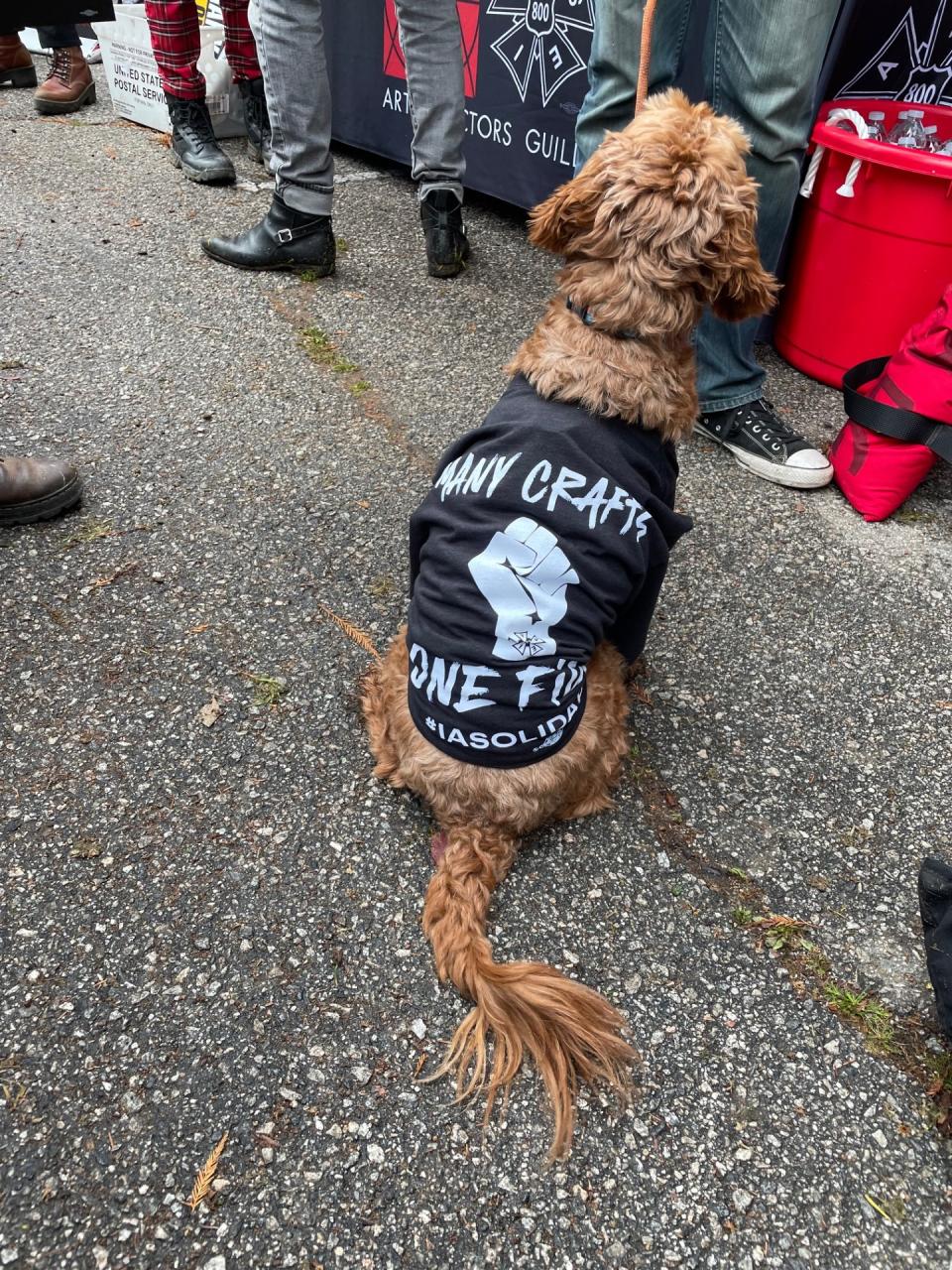 A canine dressed in solidarity at the “Many Crafts, One Fight” Rally in the San Fernando Valley on March 3, 2024.
