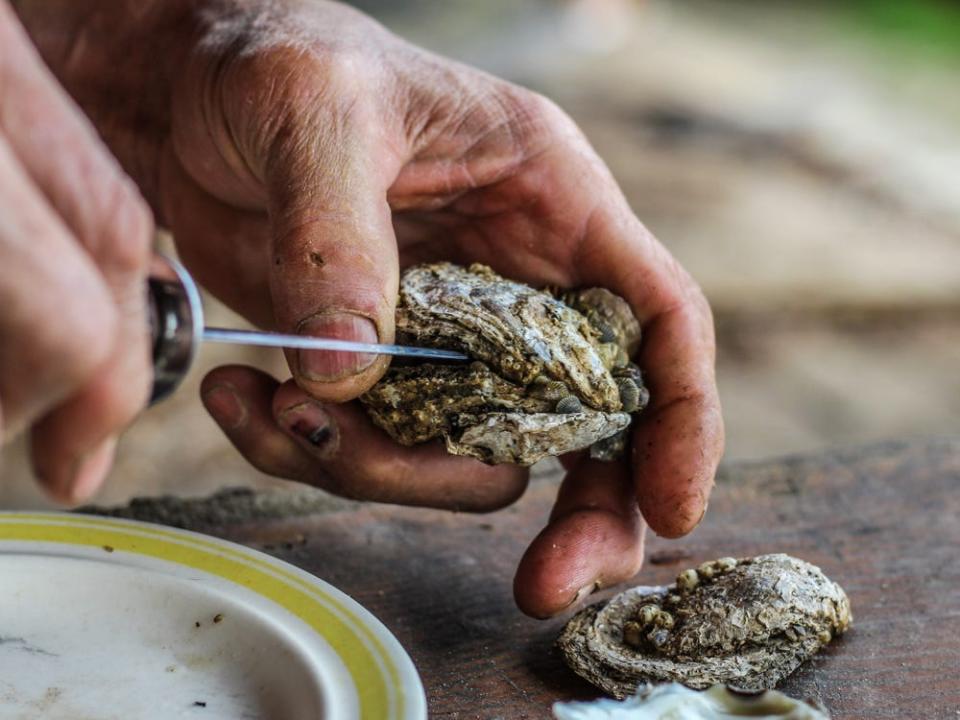 a man using a knife shucking oyster