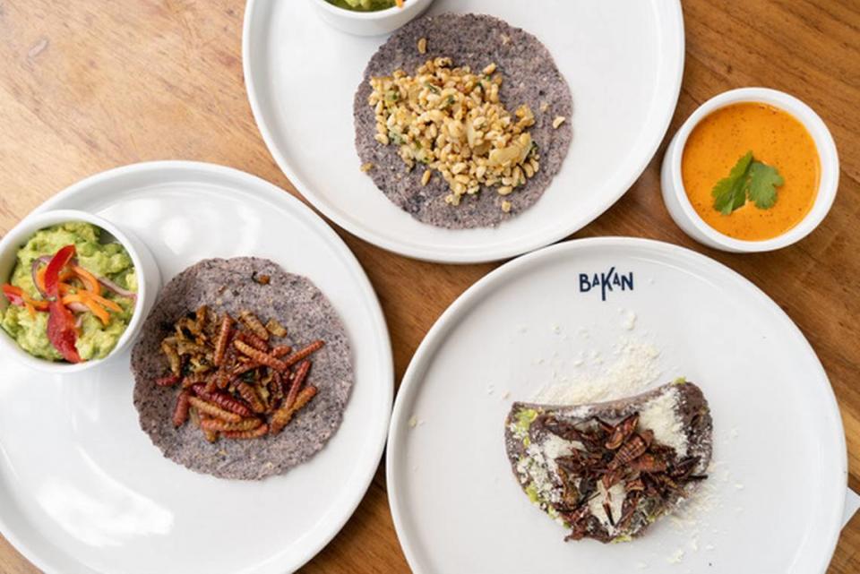 Si eres un “foodie” atrevido en busca de distintos sabores y comidas audaces, te recomendamos Bakan, el moderno, artístico y auténtico restaurante mexicano de Wynwood. 
