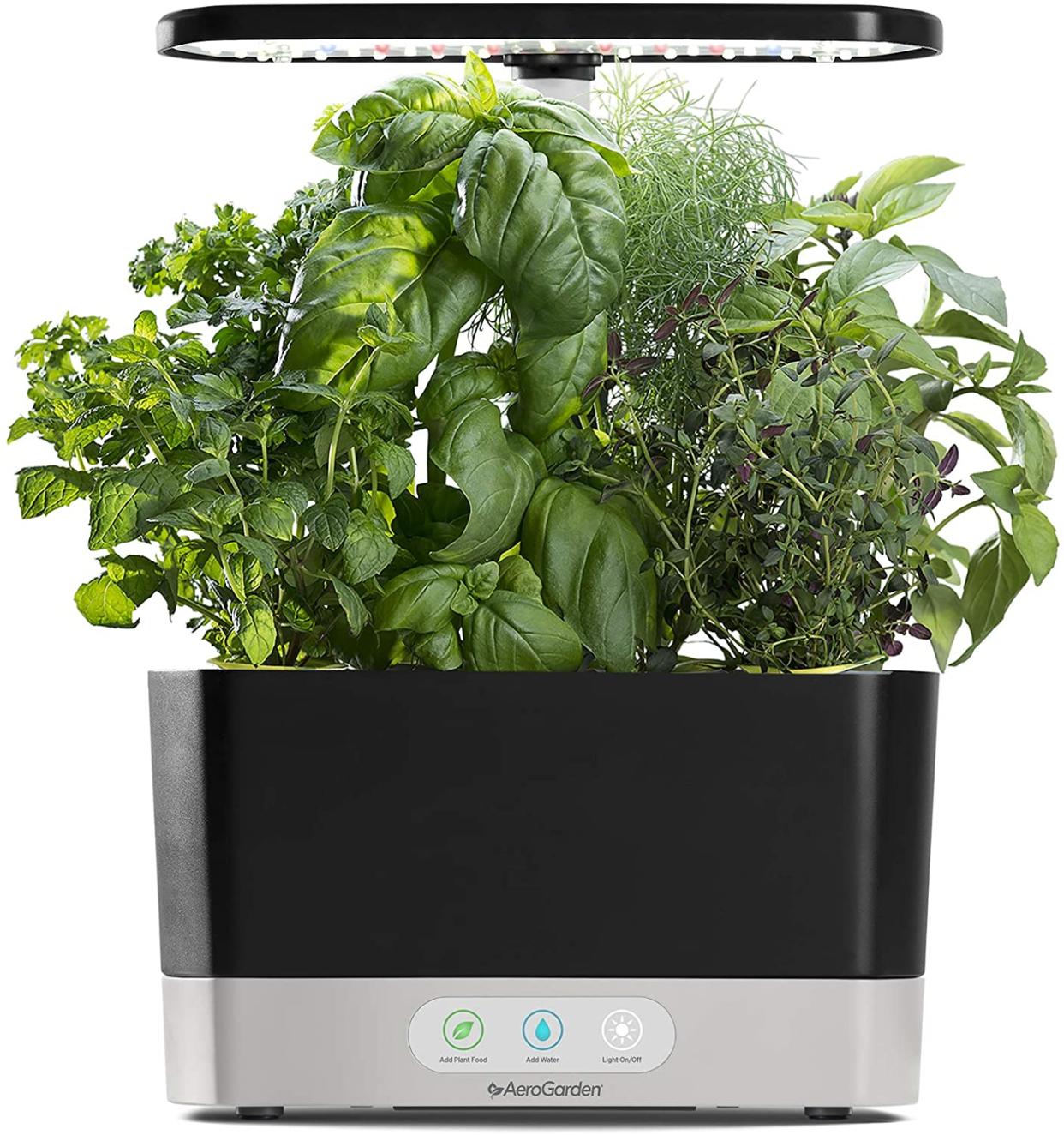 AeroGarden harvest indoor LED garden, gifts for dad