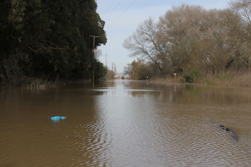 Flooding from the Salinas River is seen in Salinas