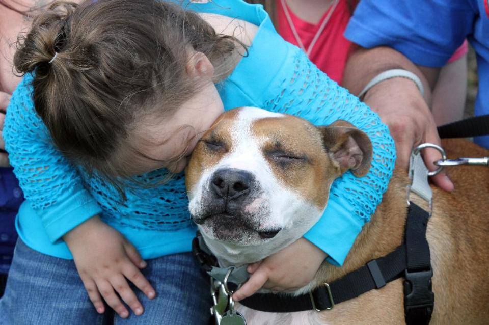 Kelsey James hugs Reckless, her dog which the Keansburg family found Thursday, May 1, 2014, at the Monmouth County SPCA, a year and a half after Reckless was lost during Superstorm Sandy.(AP Photo/The Asbury Park Press, Mark R. Sullivan)