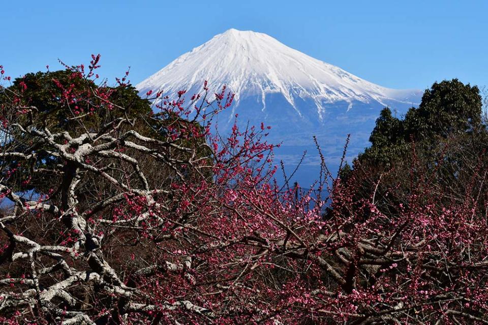 岩本山公園（Image Source : Getty Creative）