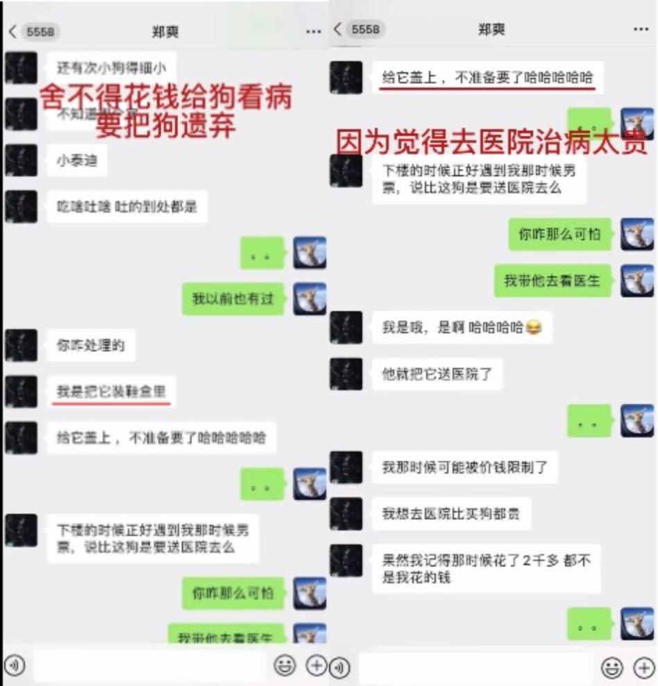 鄭爽自爆狗生病要將狗裝進鞋盒遺棄。（圖／翻攝自張恒微博）