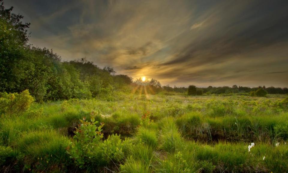 Montiagh’s Moss at dusk, County Antrim, Northern Ireland, UK.