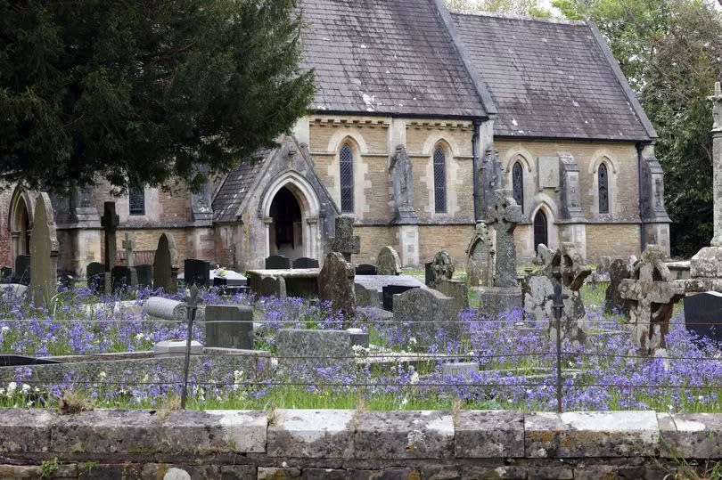 The Church of St Teilo and its carpet of bluebells and snowdrops