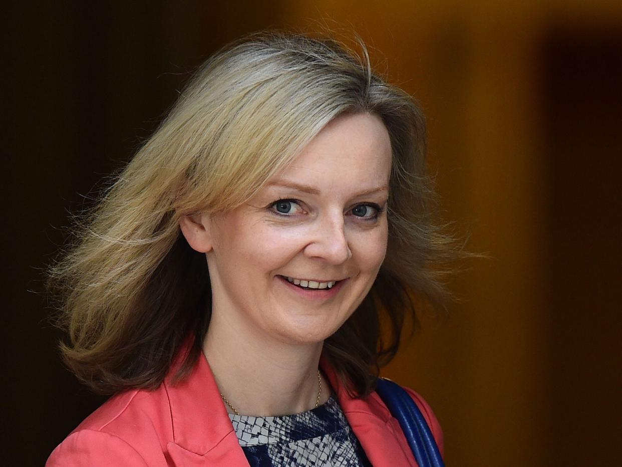 International trade secretary Liz Truss ordered to resumption of arms sales (Getty Images)