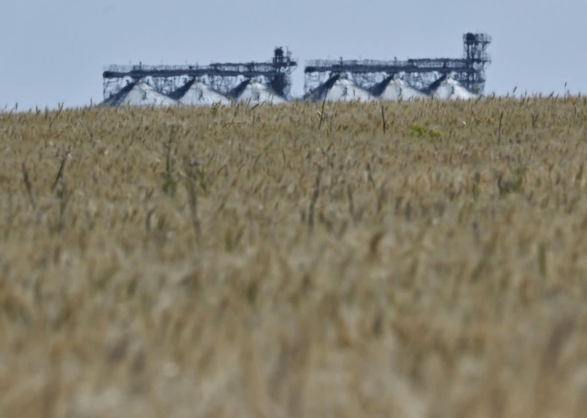 A grain elevator behind a wheat field in Ukraine’s eastern region of Donbas, on 1 July 2022 (AFP via Getty Images)