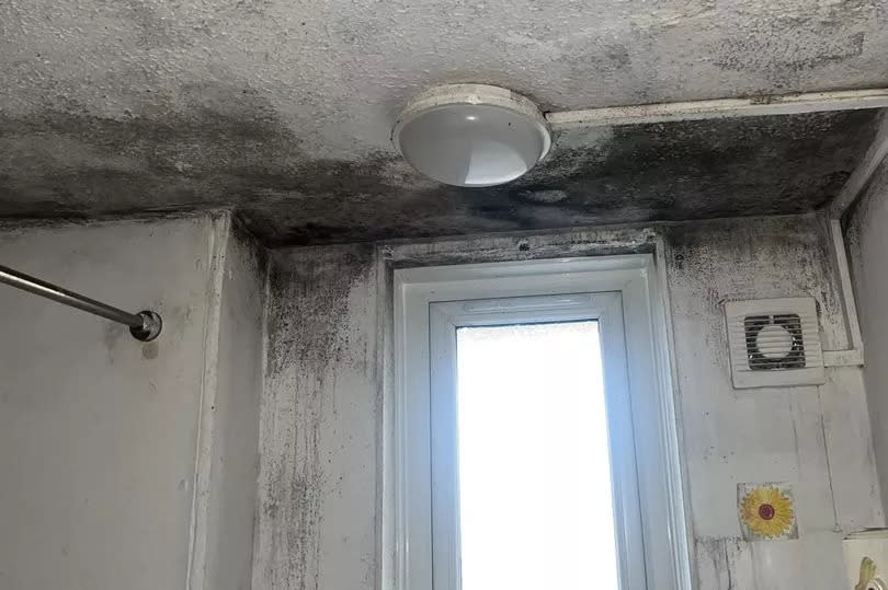 Black mould all over the ceiling and walls in the shower room of the family's home in Newham