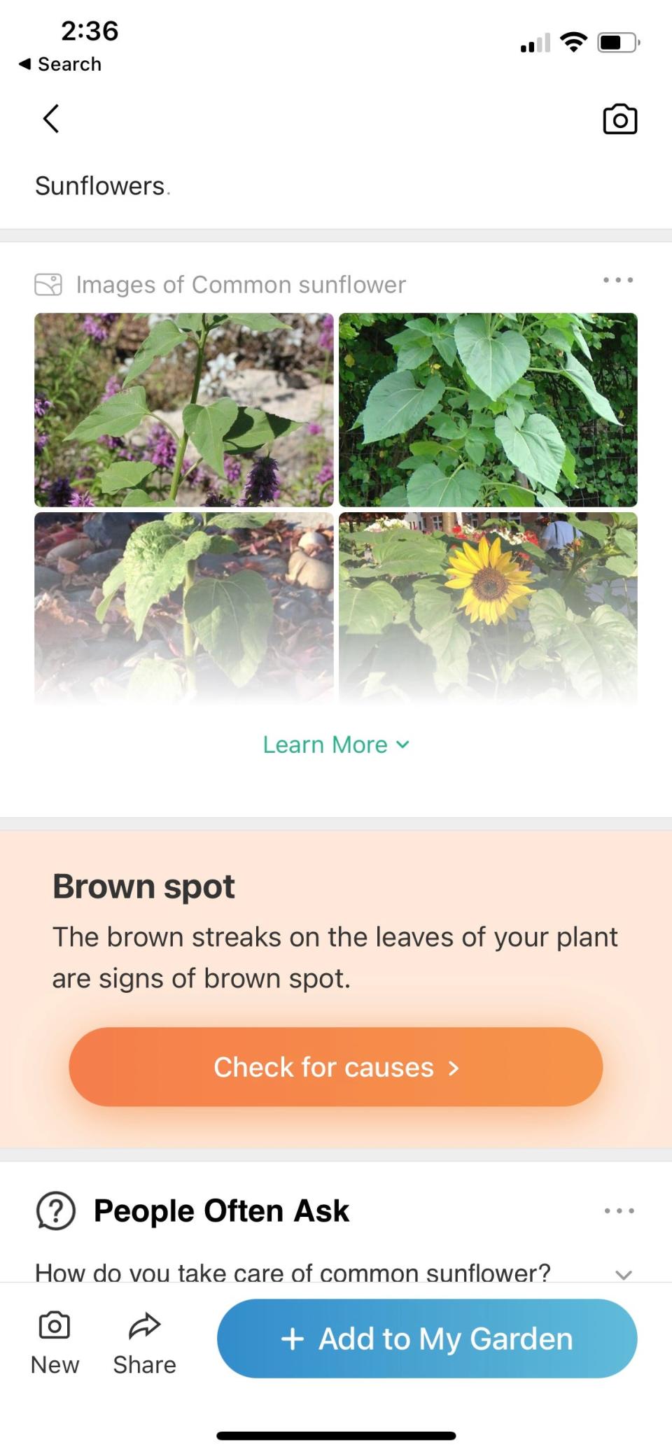 Are you a novice gardener? Turn your black thumb green by using the PictureThis app to identify plants. Its database offers 98% accuracy.