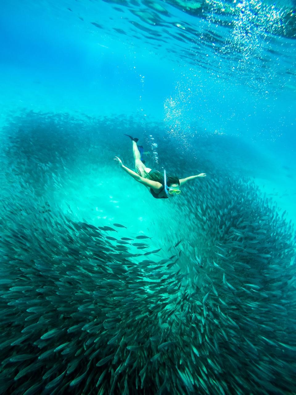 snorkelling off westpunt curacao