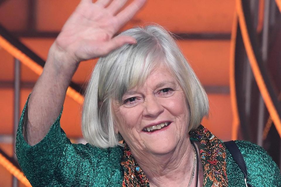 Ann Widdecombe pictured leaving the Celebrity Big Brother house last year (Stuart Wilson/Getty Images)