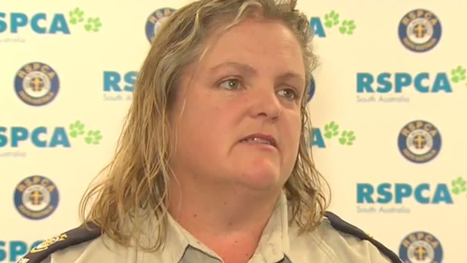 RSPCA inspector Andrea Lewis said the animal abuse cut her to the core. Source: 7 News