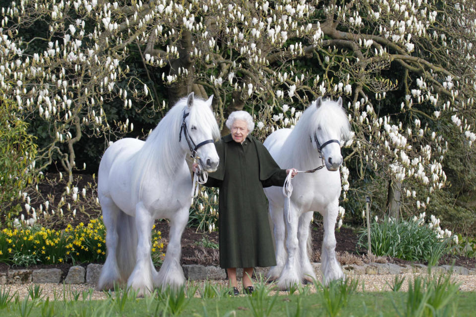 Image: BRITAIN-ROYAL-QUEEN (HENRY DALLAL/Royal Windsor Horse Show / AFP via Getty Images)