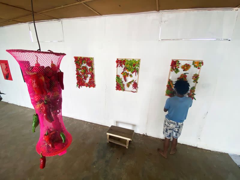 El artissta nigeriano Fela Keko monta una exhibición con pimientos frescos en una galería en Iwaya, Lagos