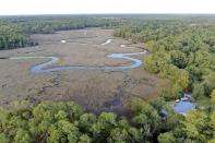 Homes surround wetlands in Oak Island, N.C., Tuesday, Aug. 29, 2023. The Biden Administration weakened protections for wetlands on Tuesday, a win for developers and agricultural groups in some states. (AP Photo/Karl B DeBlaker)