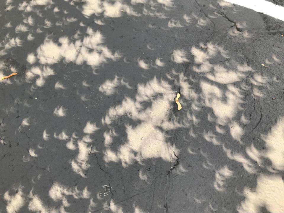 Cómo ver (y grabar) un eclipse solar