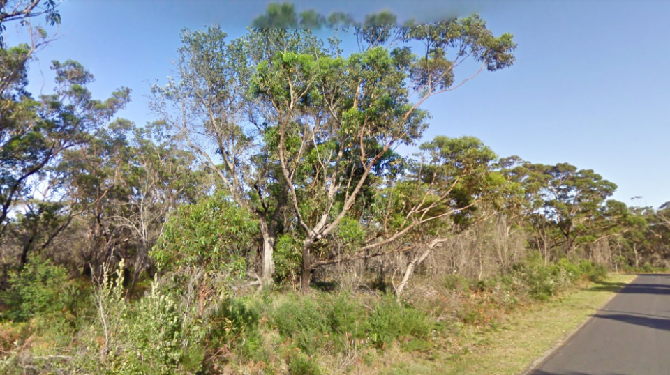 A man's body was found on  McNee Street in Broulee over the weekend. Source: Google Maps