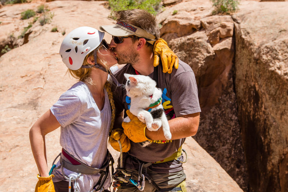 Cat visits every national park