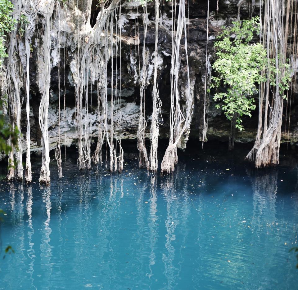 <p>There are thousands of cenotes in Tulum but this one, <a rel="nofollow noopener" href="http://cenoteyokdzonot.weebly.com/home.html" target="_blank" data-ylk="slk:Yokdzonot;elm:context_link;itc:0;sec:content-canvas" class="link ">Yokdzonot</a>, is perhaps the most beautiful. Located only a couple hours outside of Tulum (and a 20 minute drive from Chicen Itza), this most impressive cenote (a natural fresh water pit/sinkhole) offers crystal blue waters which you can swim in amongst a beautiful jungle setting. Fun fact: the water from this cenote and others are what comes out the taps in most area hotels – it’s that clean! </p>