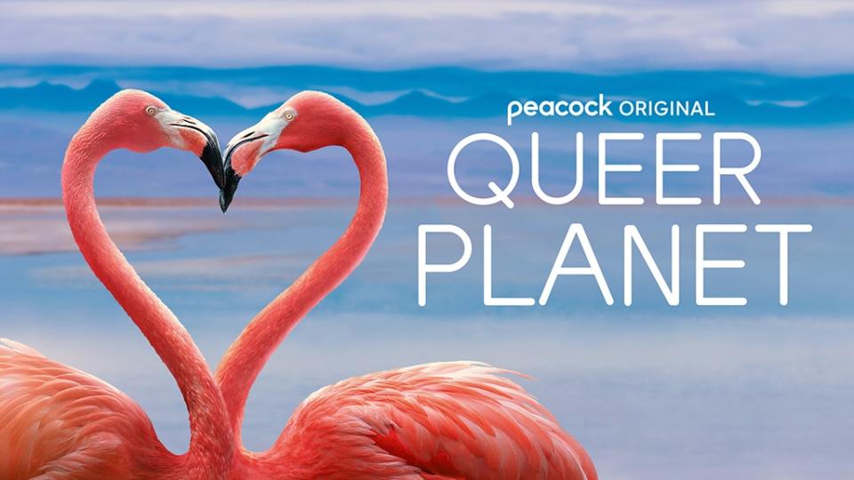 <p><em>Queer Planet</em> (Peacock) - June 6</p>