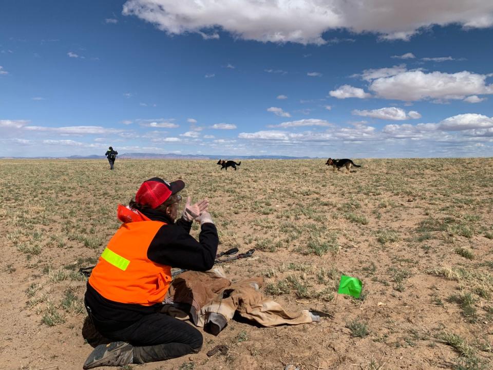 Volunteers with Four Corners K9 Search and Rescue are seen during a search for a missing person on the Navajo Nation on 23 April 2022. (Justin Higginbottom)