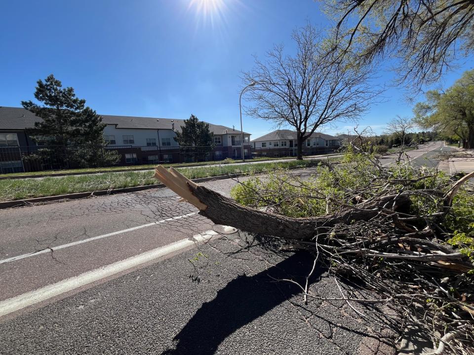 Downed power lines near Skyway Park Elementary School in the Broadmoor neighborhood