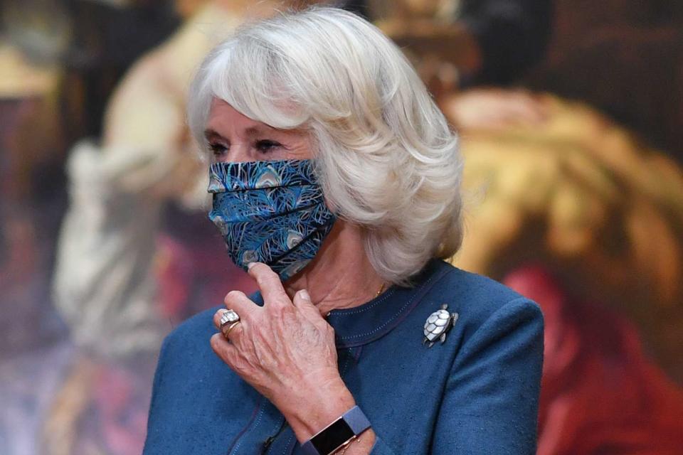 Camilla's Practical Accessory