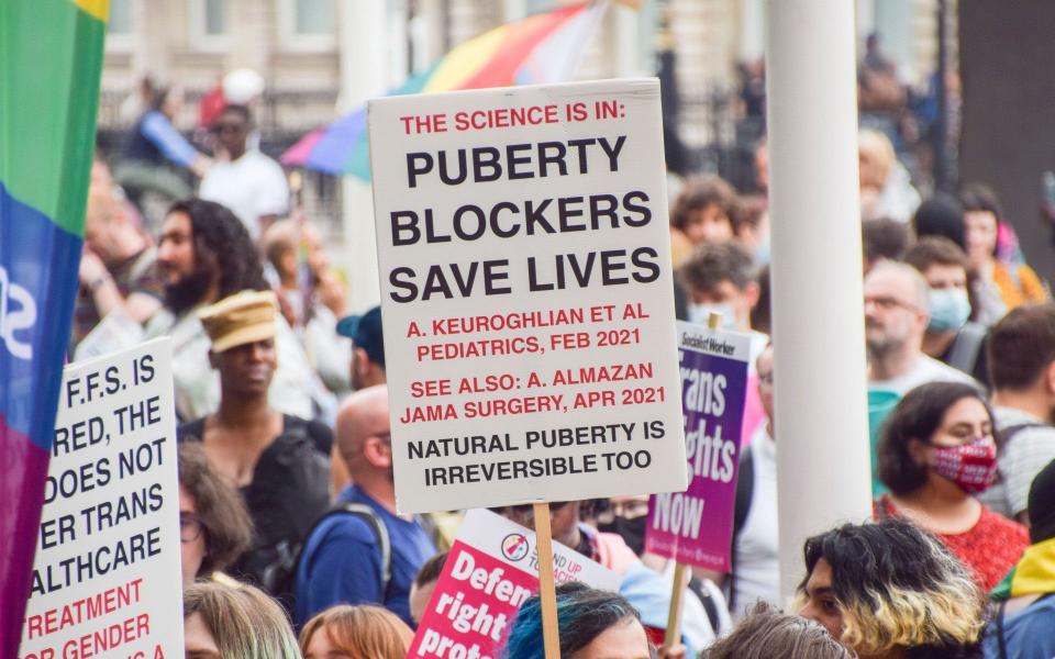 A protester holds a 'Puberty Blockers Save Lives' placard in Parliament Square