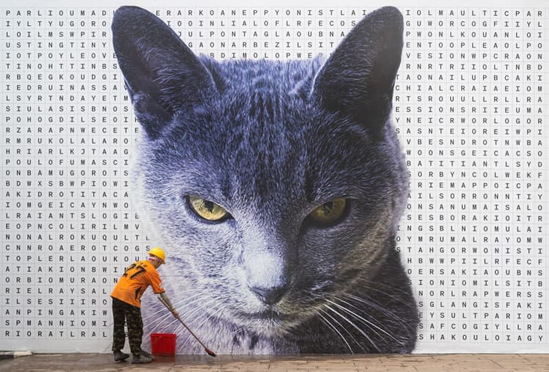 A worker cleans the pavement in front of the work of American-British artist, Sarah Morris. Titled TXJSQE, the work was commissioned by Tai Kwun JC Contemporary Gallery. Morris used her own pet '˜Kit cat' as the centrepiece surrounded by 2000 capitalized letters. The artist leaves the viewer to word search the cat puzzle. Jayne Russell/ZUMA Press Wire/dpa