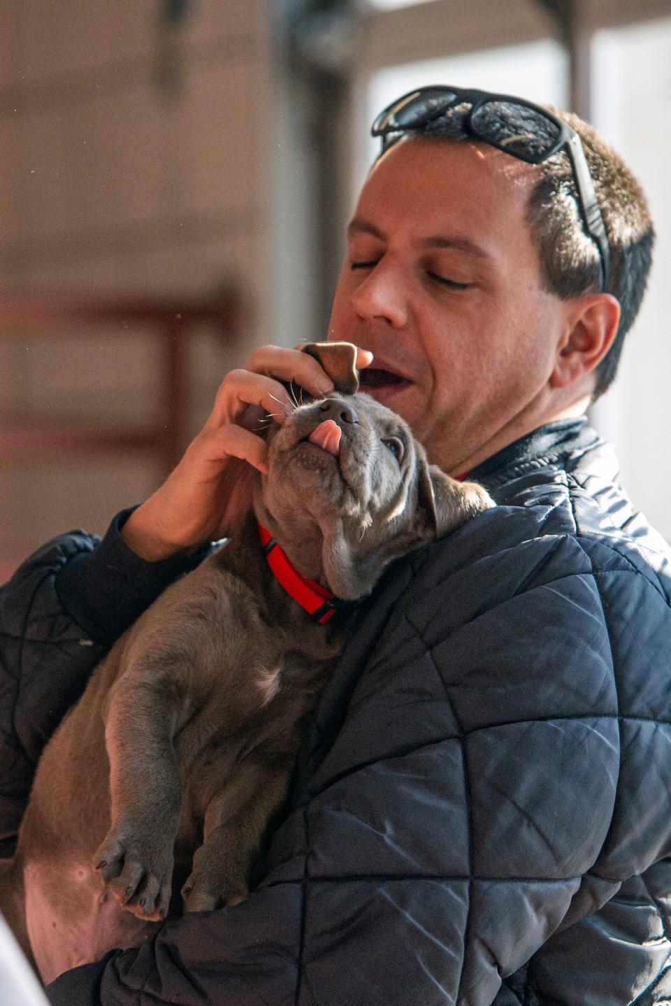 Natick firefighter Al Gentile gets a lick from Louie, a 9-week-old silver Lab who is the department’s new comfort dog, at the Natick Fire Headquarters, Jan. 5, 2024.