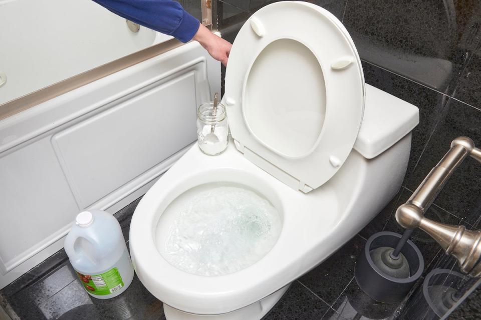 Woman flushes toilet after cleaning it. 