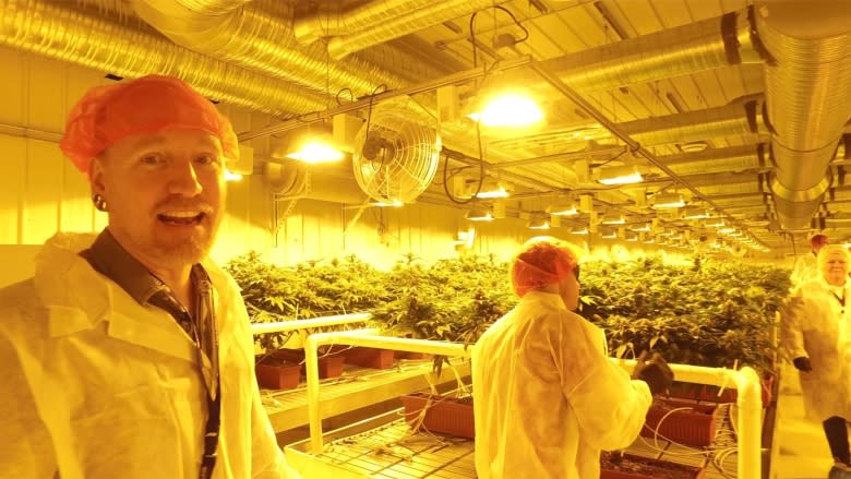 Pot profits predicted to soar with legalization on the horizon