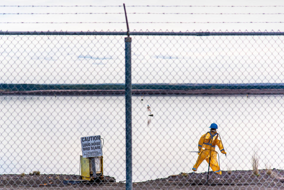 Scarecrows dressed like workers and devices that produce loud explosions that sound like gunshots are spread out around a Syncrude tailings pond with toxic water that could kill birds that land on it north of Fort McMurray (Michael Kodas)