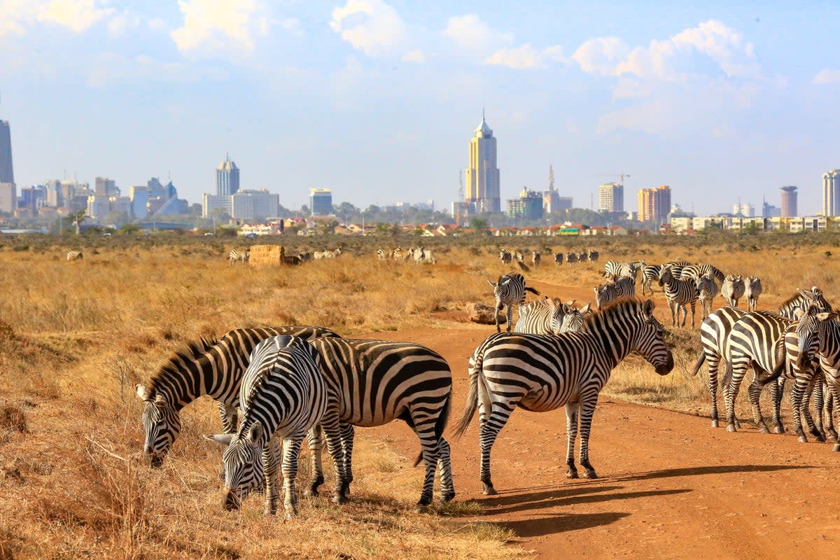 Nairobi made the cut for its ‘sizzling’ culture (Getty Images/iStockphoto)