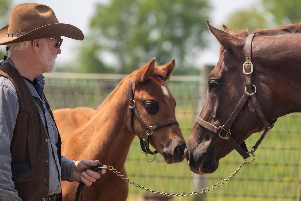 Westward Farm's Kevin Harris looks on as Silent Candy, the dam of Epicenter, who is projected to be a top contender in the 148th Kentucky Derby, inspects a foal Thursday.  April 28, 2022 