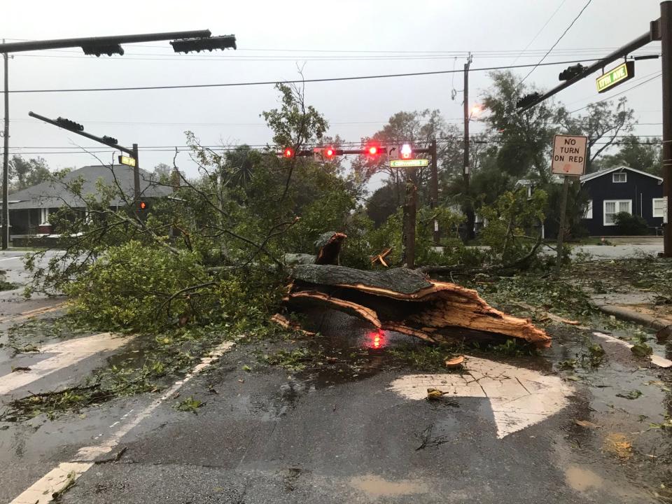 A downed tree is blocking 17th Avenue and Cervantes Street in Pensacola, Florida, after Hurricane Sally swept through the area on Wednesday, Sept. 16, 2020.