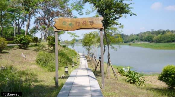 南市虎頭埤柳樹桂花巷花開迎賓，邀遊客新春來賞景感受桂花香。（記者李嘉祥攝）